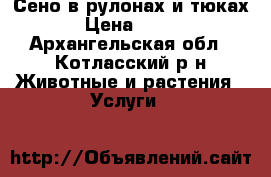 Сено в рулонах и тюках › Цена ­ 850 - Архангельская обл., Котласский р-н Животные и растения » Услуги   